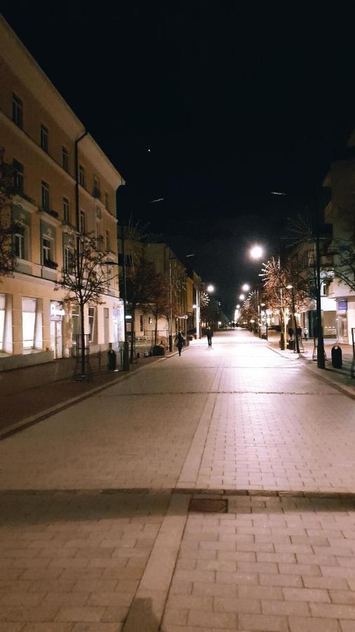 Downtown Apartment Rentals Šiauliai Eksteriør billede